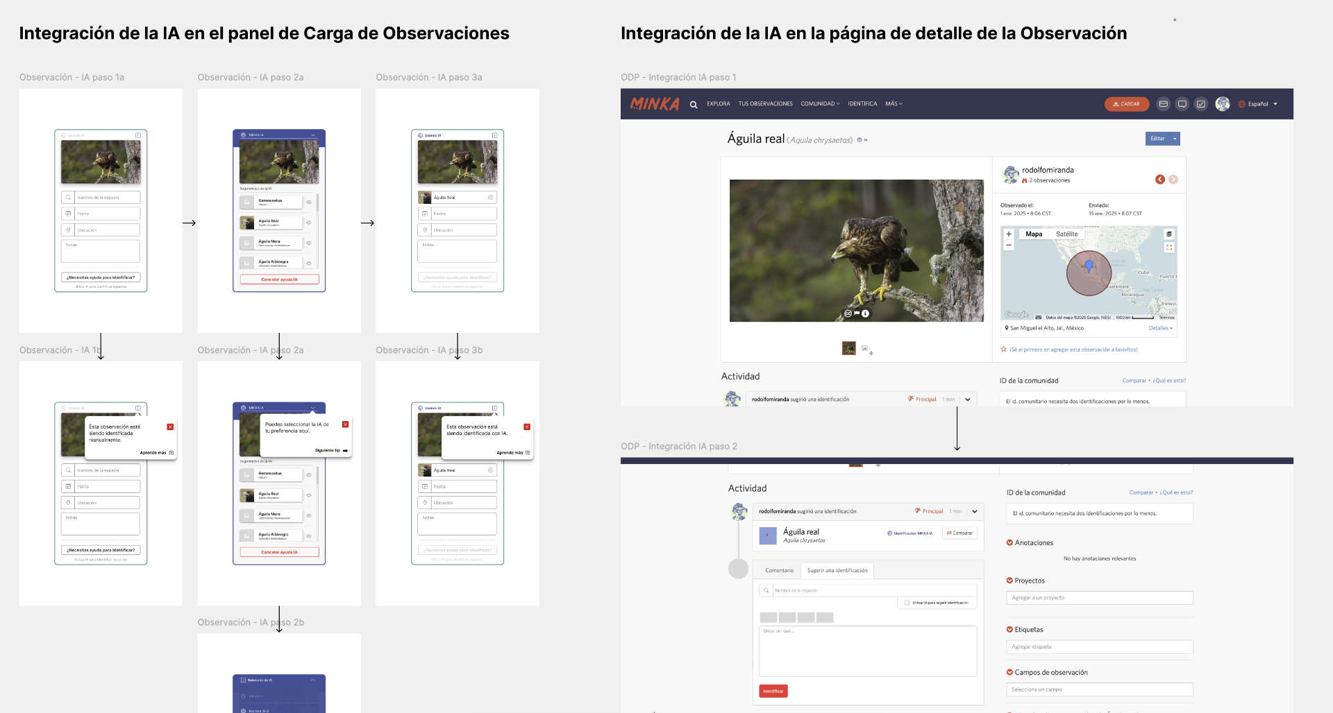 Prototipo para integrar IA en MINKA