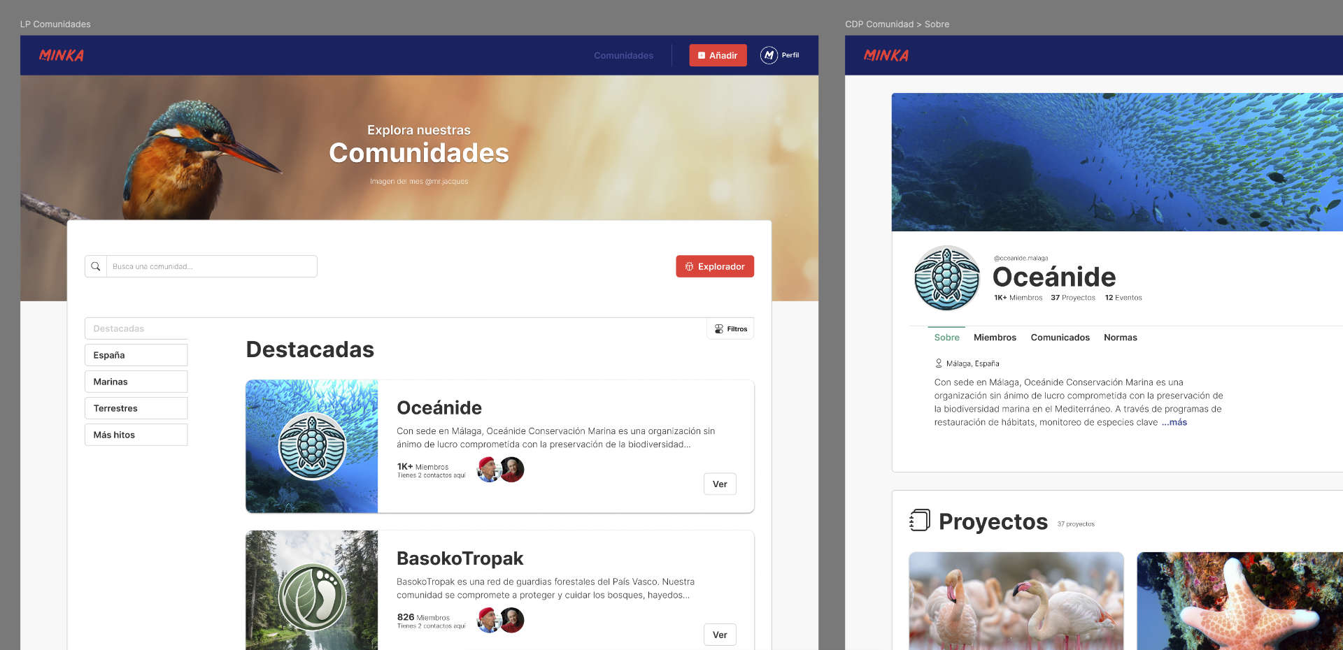 Prototipos de alta fidelidad sección de comunidades para MINKA